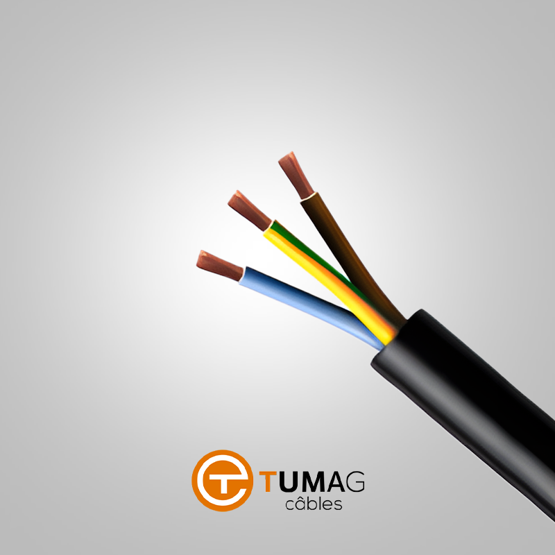 CABLE SOUPLE TUMAG RVK NOIR 3X10mm²